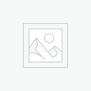 عنصر نائب Placeholder